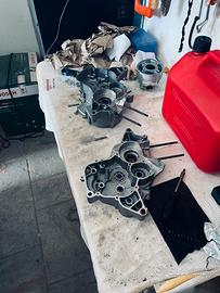 carter am6 barenati 100