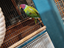 Immagine 2