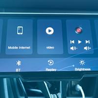 Schermo multimediale auto