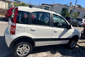 Fiat Panda 1.3 MJT 16V DPF 4x4 Climbing