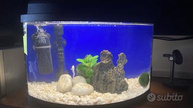 Acquario completo
