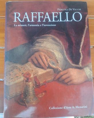 Libro arte: Raffaello