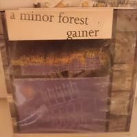 disco 45 giri a minor forest & gainer