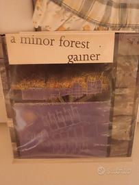 disco 45 giri a minor forest & gainer