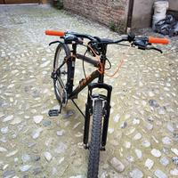 Mountain bike 