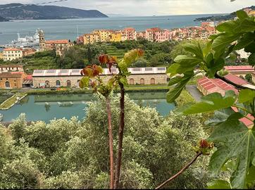 La Spezia YONO apartment vista mare + garden