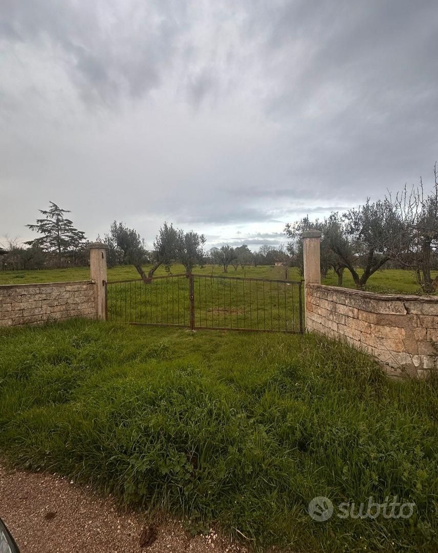 Terreno Agricolo Uliveto Seminativo Selva San Vito - Vista 2
