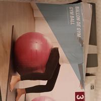 Fitball taglia 3 con pompa.