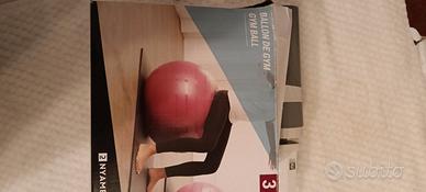 Fitball taglia 3 con pompa.