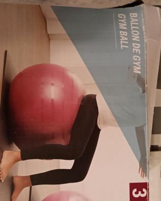 Fitball taglia 3 con pompa.