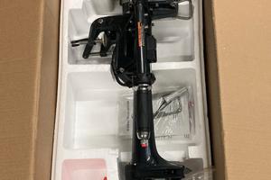 Motore nautico 4 tempi