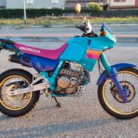 Honda NX 650 Dominator (restauro conservativo)