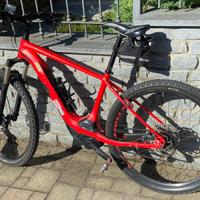 mountain bike pedalata assistita
