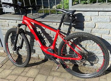 mountain bike pedalata assistita