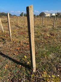 Pali cemento 2 metri