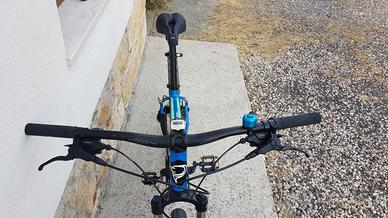 Bici mountainbike uomo