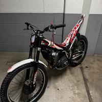Trial Beta EVO 300 - TARGATA