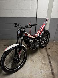 Trial Beta EVO 300 - TARGATA