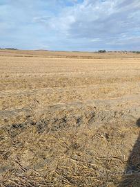 terreno agricolo h 2,40 