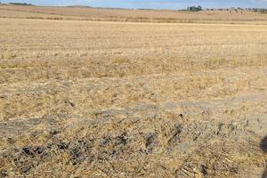 terreno agricolo h 2,40 