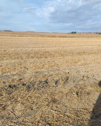 terreno agricolo h 2,40 