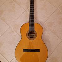 chitarra principianti
