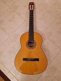 chitarra principianti