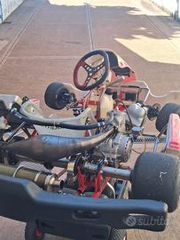 birel tm k9