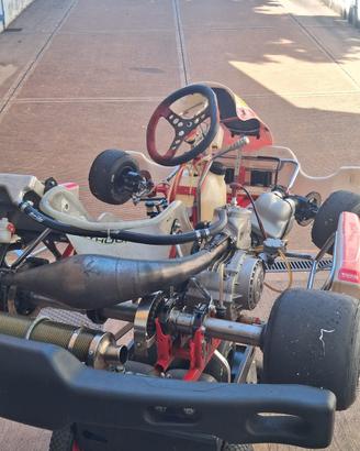 birel tm k9