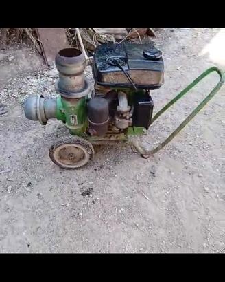 pompa acqua a benzina