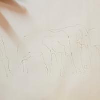 Disegno a matita del pittore Mangini