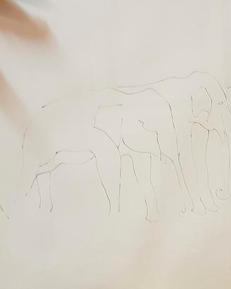 Disegno a matita del pittore Mangini
