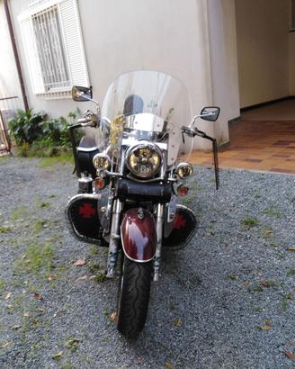Kawasaki VN900