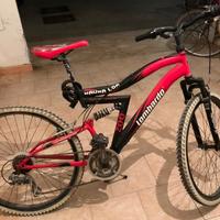 Mountain bike lombardo