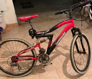 Mountain bike lombardo