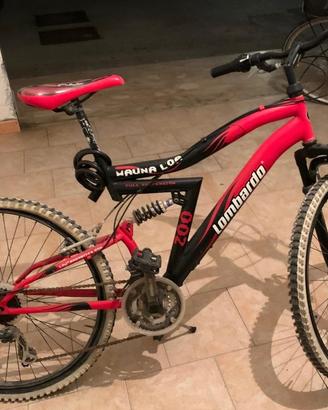 Mountain bike lombardo