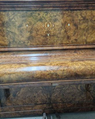 Pianoforte in radica