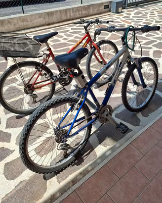 Due Bici Montaib Bike