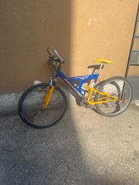 Bicicletta mtb