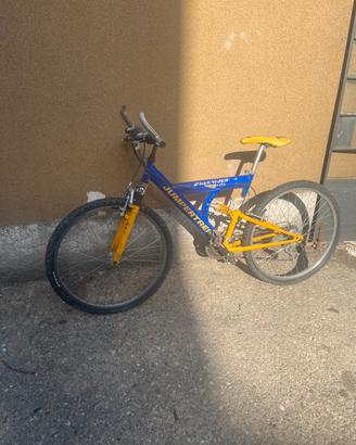 Bicicletta mtb