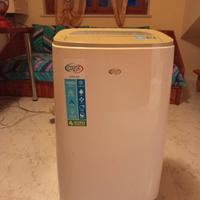 condizionatore portatile 