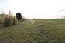 ter-agricolo-a-noventa-di-piave