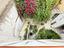 Immagine 28