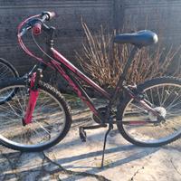 Mountain bike ragazza 10-14