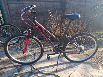 Mountain bike ragazza 10-14