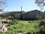 Immagine 12