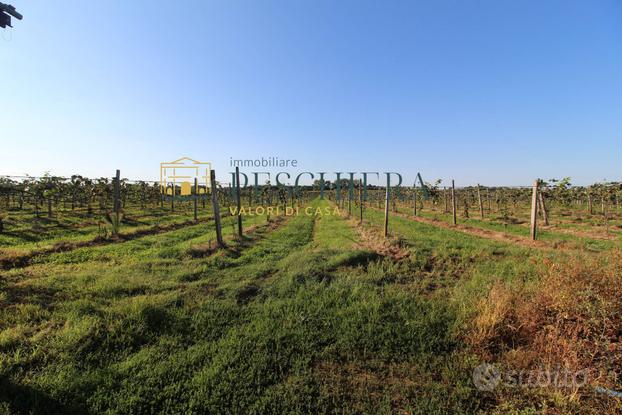 Terreno Agricolo - Volta Mantovana