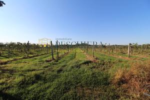 Terreno Agricolo - Volta Mantovana