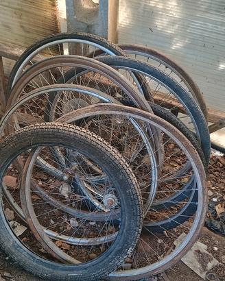 Ruote bicicletta 