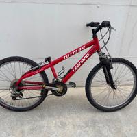 MTB Ruote 24”